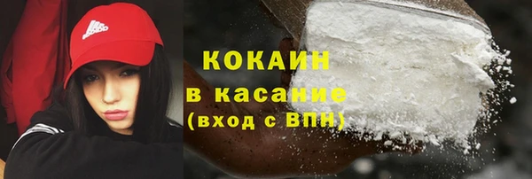 сатива Абаза