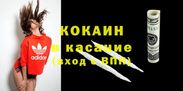 сатива Абаза