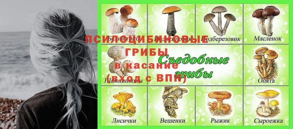 дмт Покров