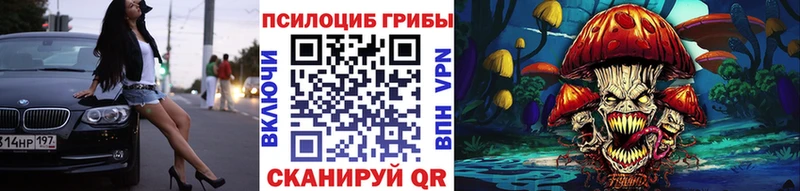 сколько стоит  Зея  Псилоцибиновые грибы прущие грибы 