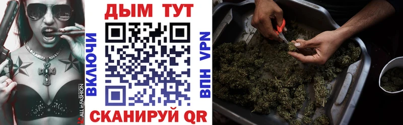 Каннабис ГИДРОПОН Зея